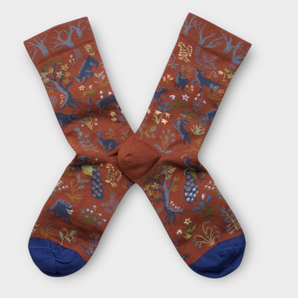 Calze Bonne Maison Mid Calf In Cotone - Cappelleria Bacca