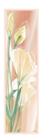 Sciarpa in Raso di Pura Seta Motivo Fiori Sfumati 45x160 cm - Cappelleria Bacca